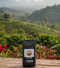 Costa Rica Coffee