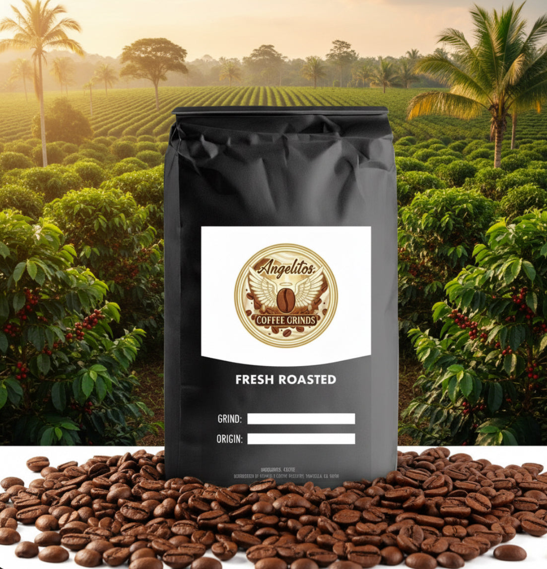 Brazil Santos Coffee